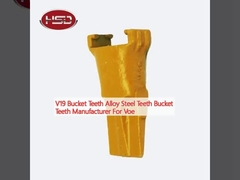 V19 Denti a secchio Leghe di acciaio Denti a secchio Fabbricante di denti a secchio