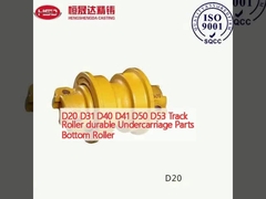D20 D31 D40 D41 D50 D53 Rulli di rotaia durevoli Parti del carrozzone Rulli di fondo