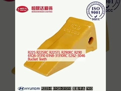 R225 R225RC R225TL R290RC R290 61Q6-31310 61N8-31310RC E262-3046 denti a secchio